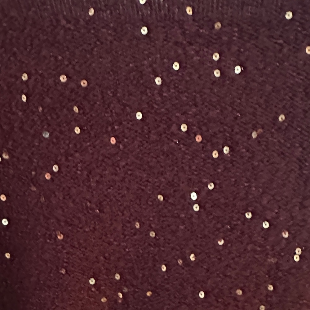 LOFT Burgundy V-Neck Sweater with Glitter Details - Picture 10 of 10